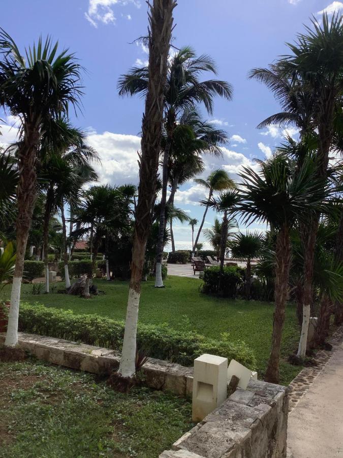 Beachaccess Hotelzone 3705 Cancún Exteriör bild